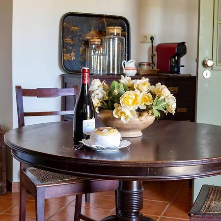 The Big House-grand Comfort At Serra Da Estrella Gouveia (Guarda)